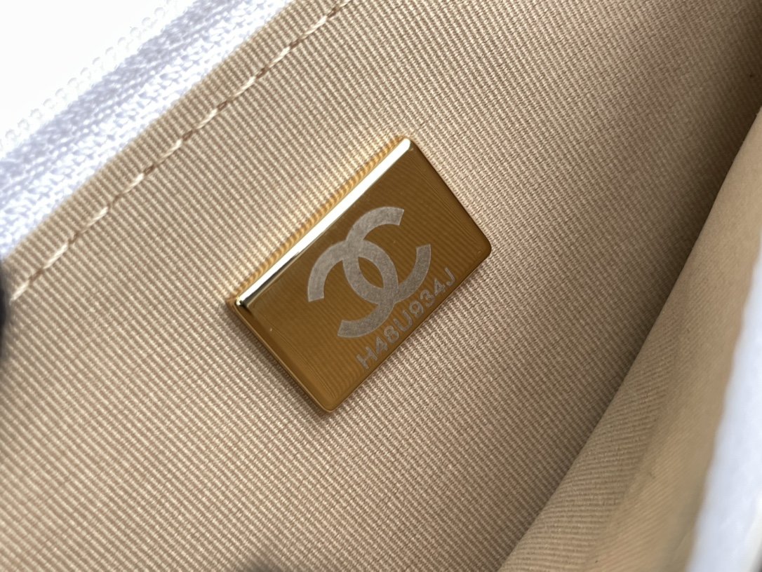 Chanel WOC Bags